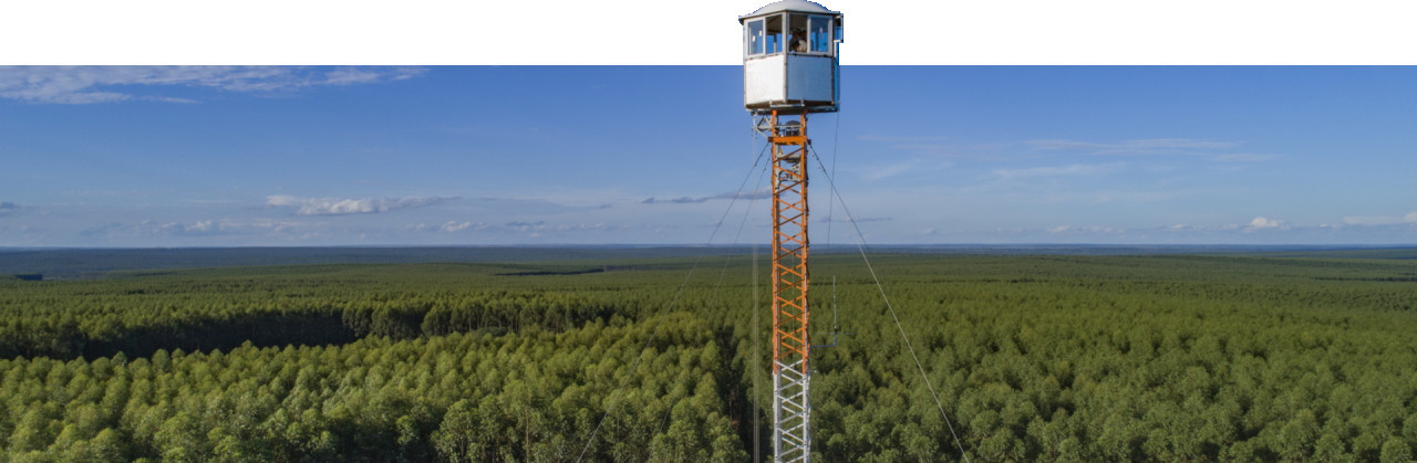 Proyecto Sucuriú de Arauco en Brasil. Foto: Arauco.