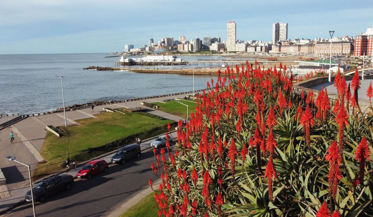 Mar del Plata. Foto: @turismomardelplata