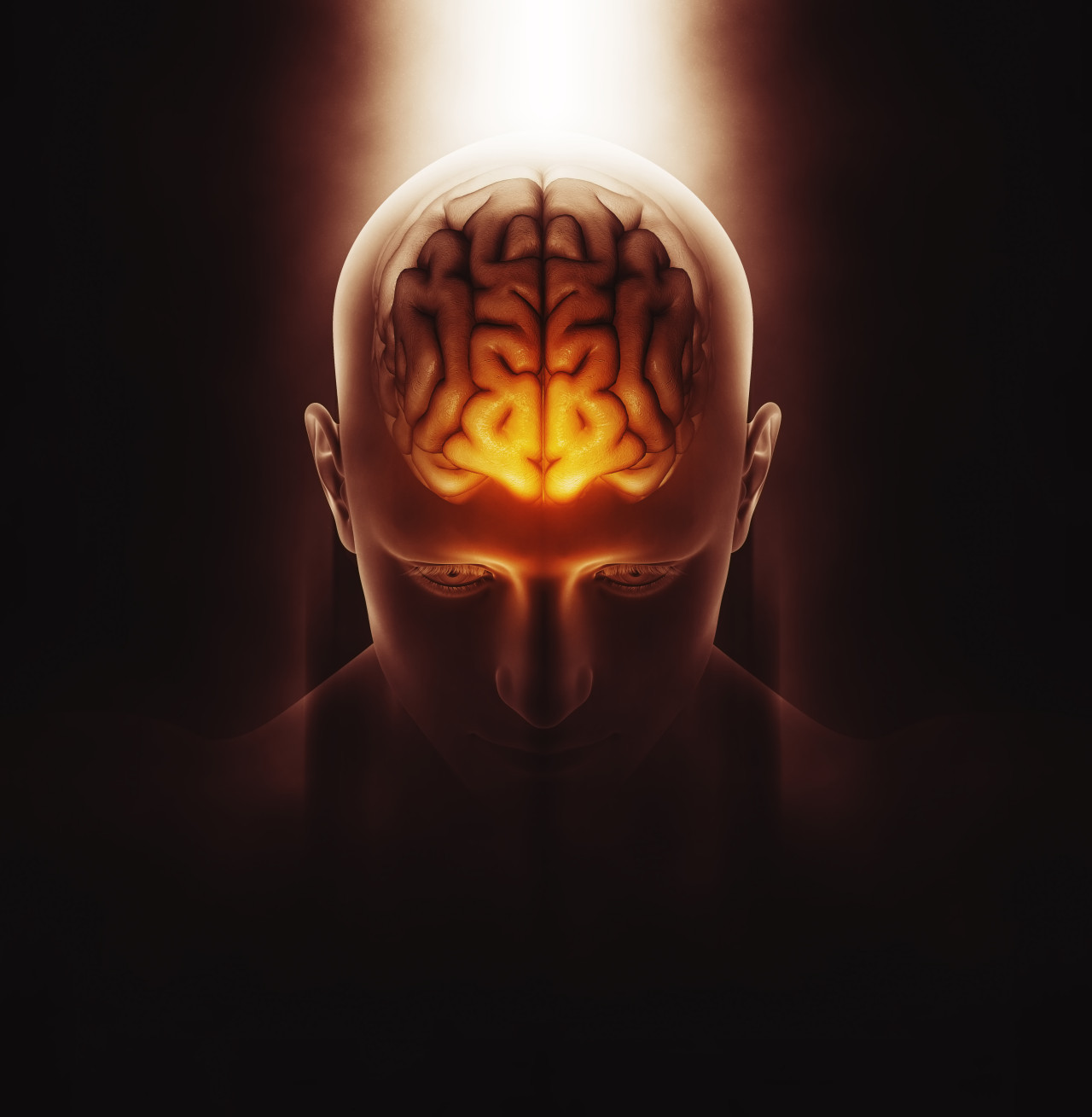 Cerebro. Foto: Freepik.