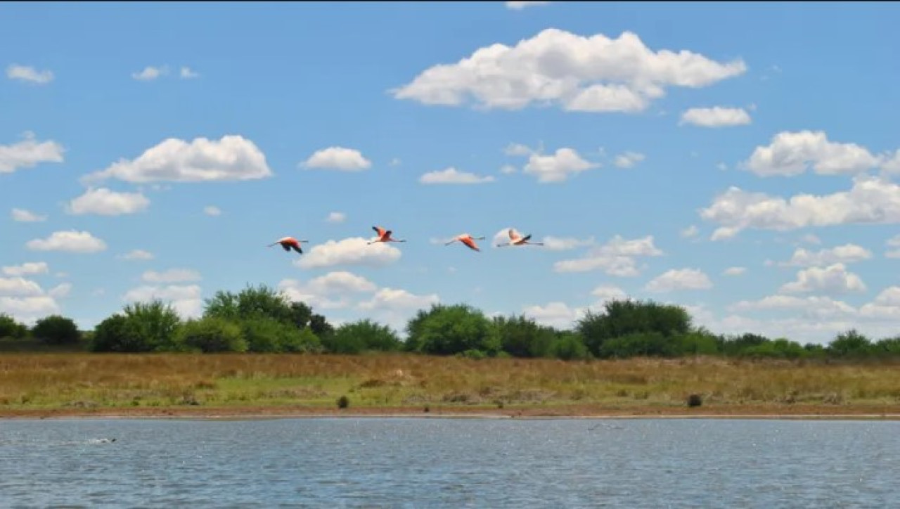 Laguna de Chasicó. Foto:Turismo Villarino