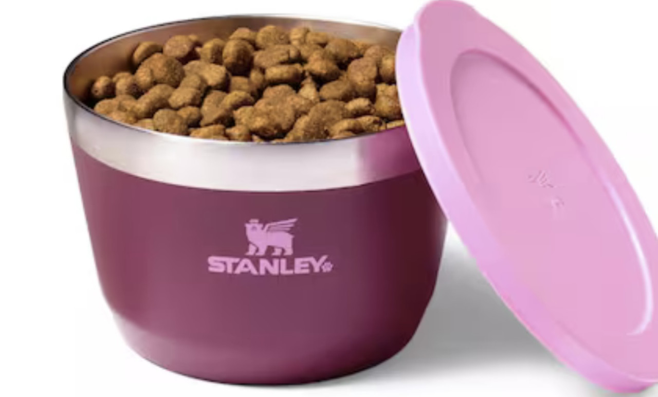 Nuevo producto de Stanley. Foto target.com