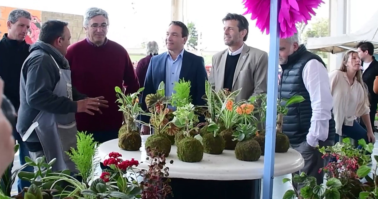 Fiesta de la Flor. Foto: captura video.