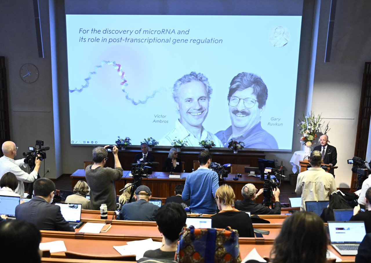 Gary Ruvkun y  Víctor Ambros ganaron el Premio Nobel de Fisiología o Medicina 2024. Foto: EFE.