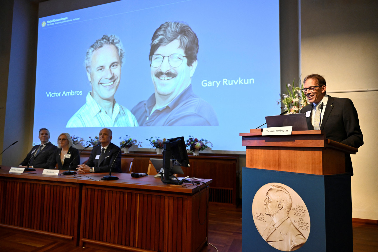 Gary Ruvkun y Víctor Ambros ganaron el Premio Nobel de Fisiología o Medicina 2024. Foto: Reuters.