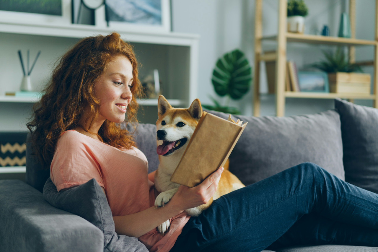 El novedoso sistema de climatización para pasar el verano frescos en casa. Foto: Unsplash