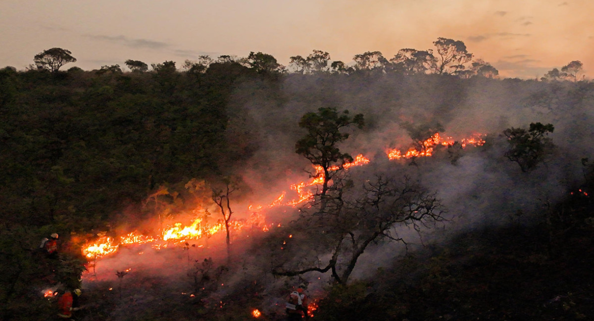 Incendios forestales en Brasil. Foto: EFE.