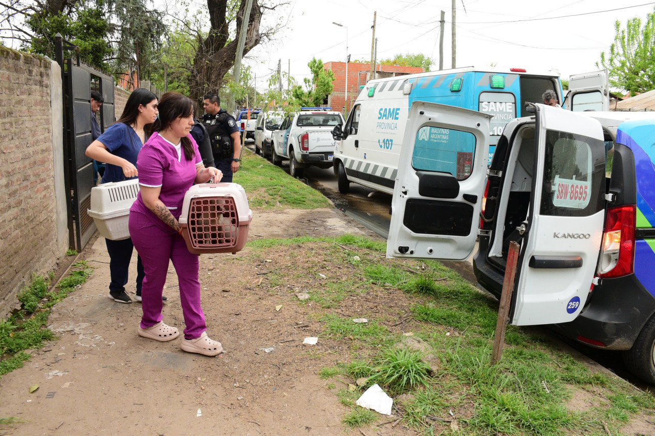 Más de sesenta perros que sufrían maltrato animal, fueron liberados tras un allanamiento en la ciudad de Tortuguitas