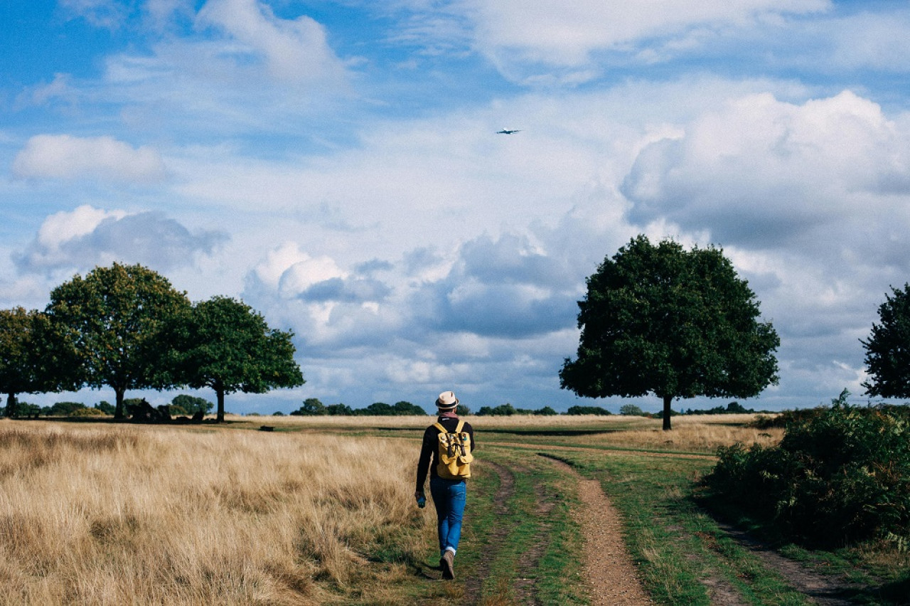 Caminata, naturaleza. Foto: Pexels.