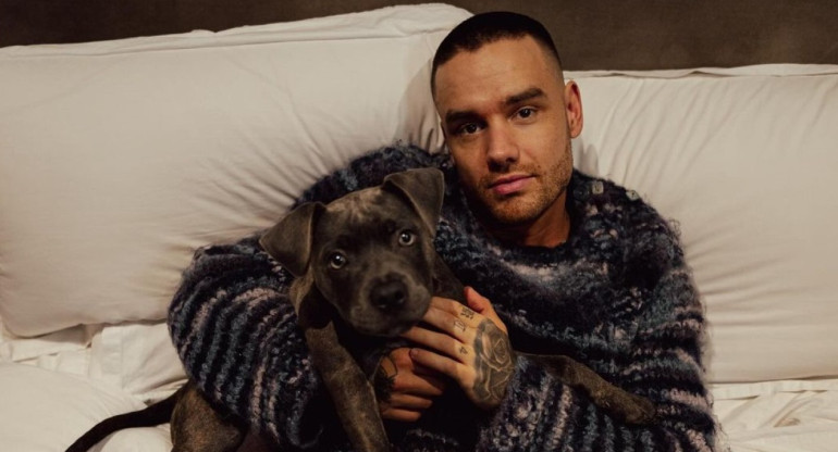 Liam Payne junto a su perro Stanley. Foto: Instagram @liampayne.