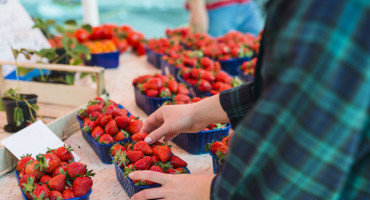 Frutillas, fruta, sabor. Foto Unsplash