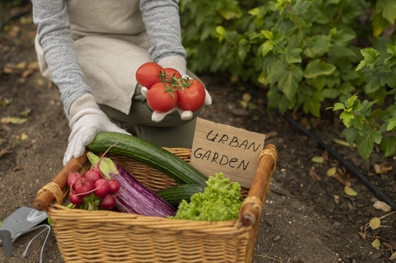 Huerta orgánica, frutas, verduras, Foto Freepik