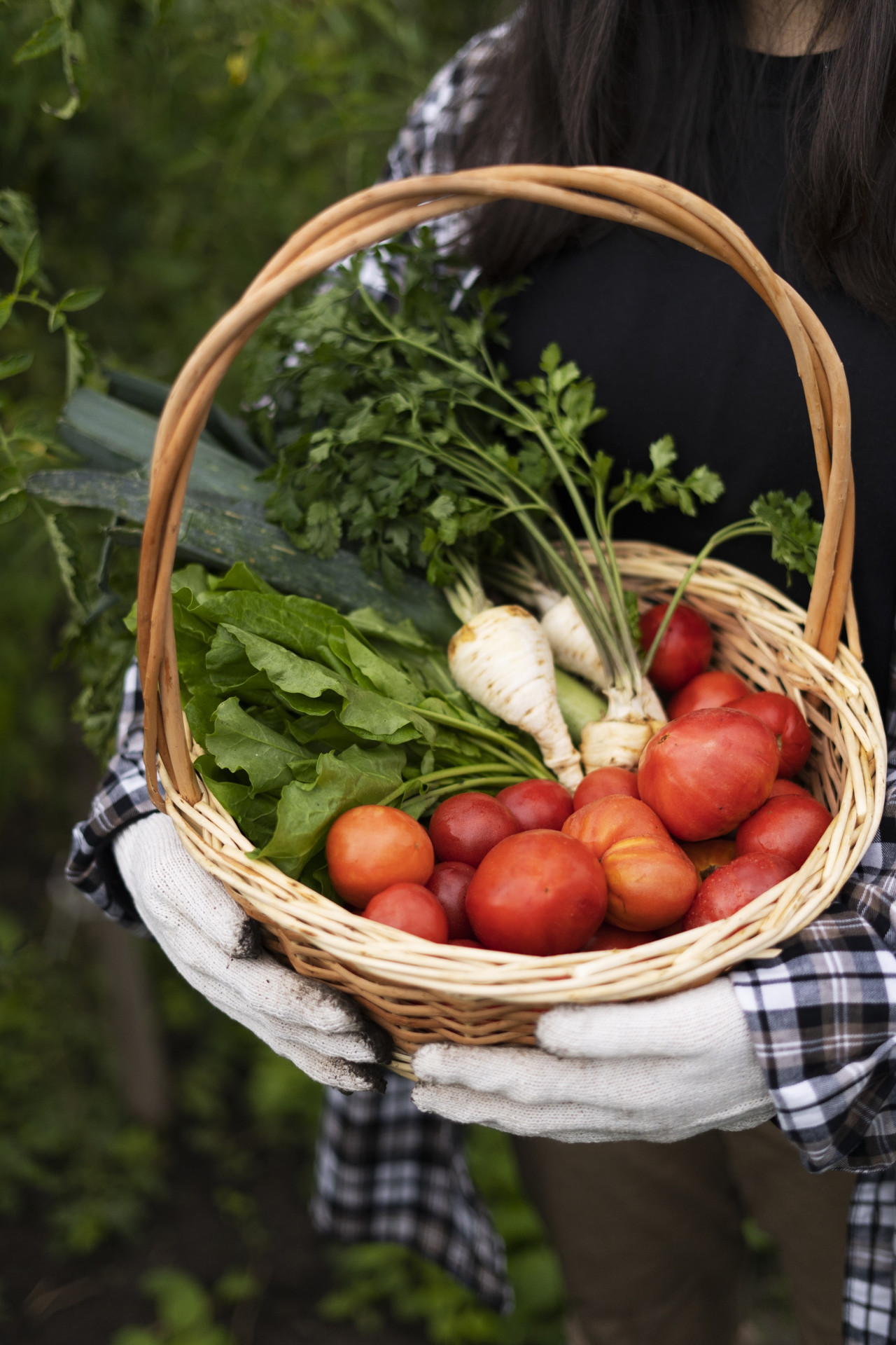 Huerta orgánica, frutas, verduras, Foto Freepik