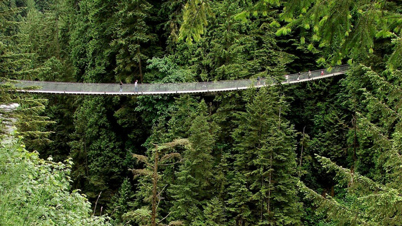 Puente de Capilano.