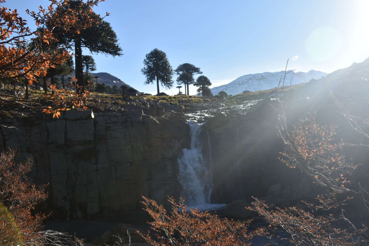 Cascada de Caviahue-Copahue, uno de los grandes atractivos de la Patagonia argentina. Foto: caviahue-copahue.gob.ar