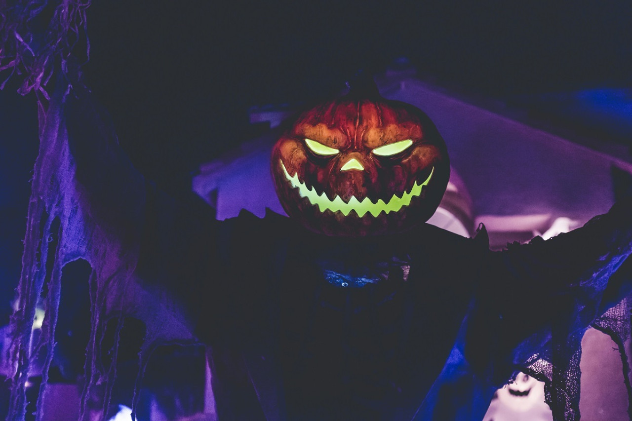 Halloween; calabazas. Foto: Unsplash.