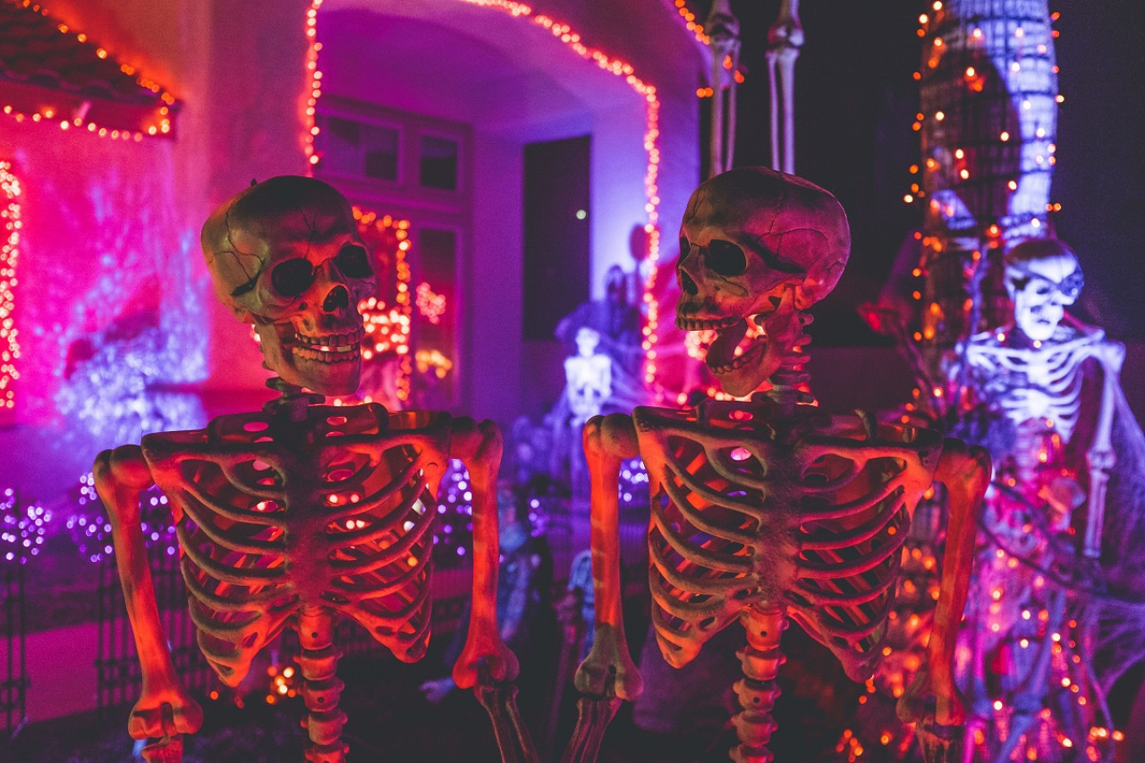 Halloween; esqueletos. Foto: Unsplash.