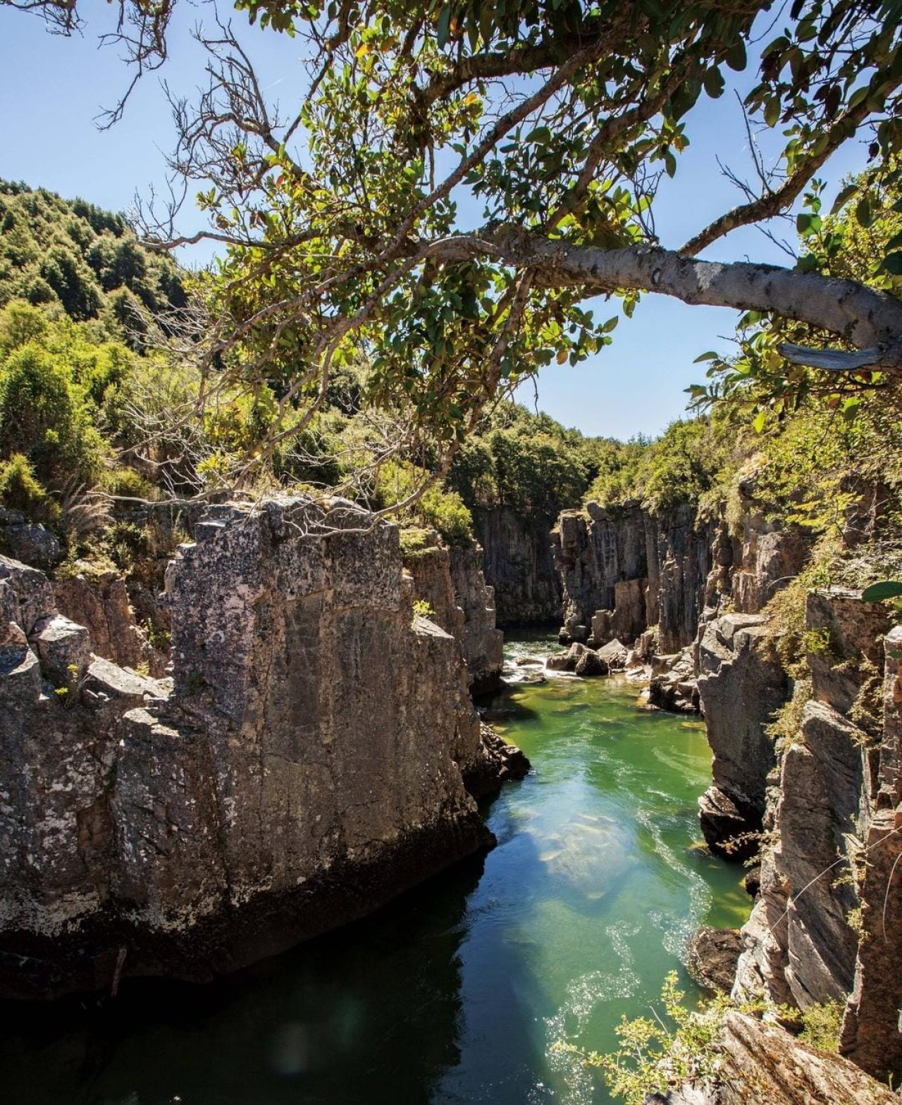 Cajón Grande del río Pico, Chubut. Foto: Instagram /revistalugares.