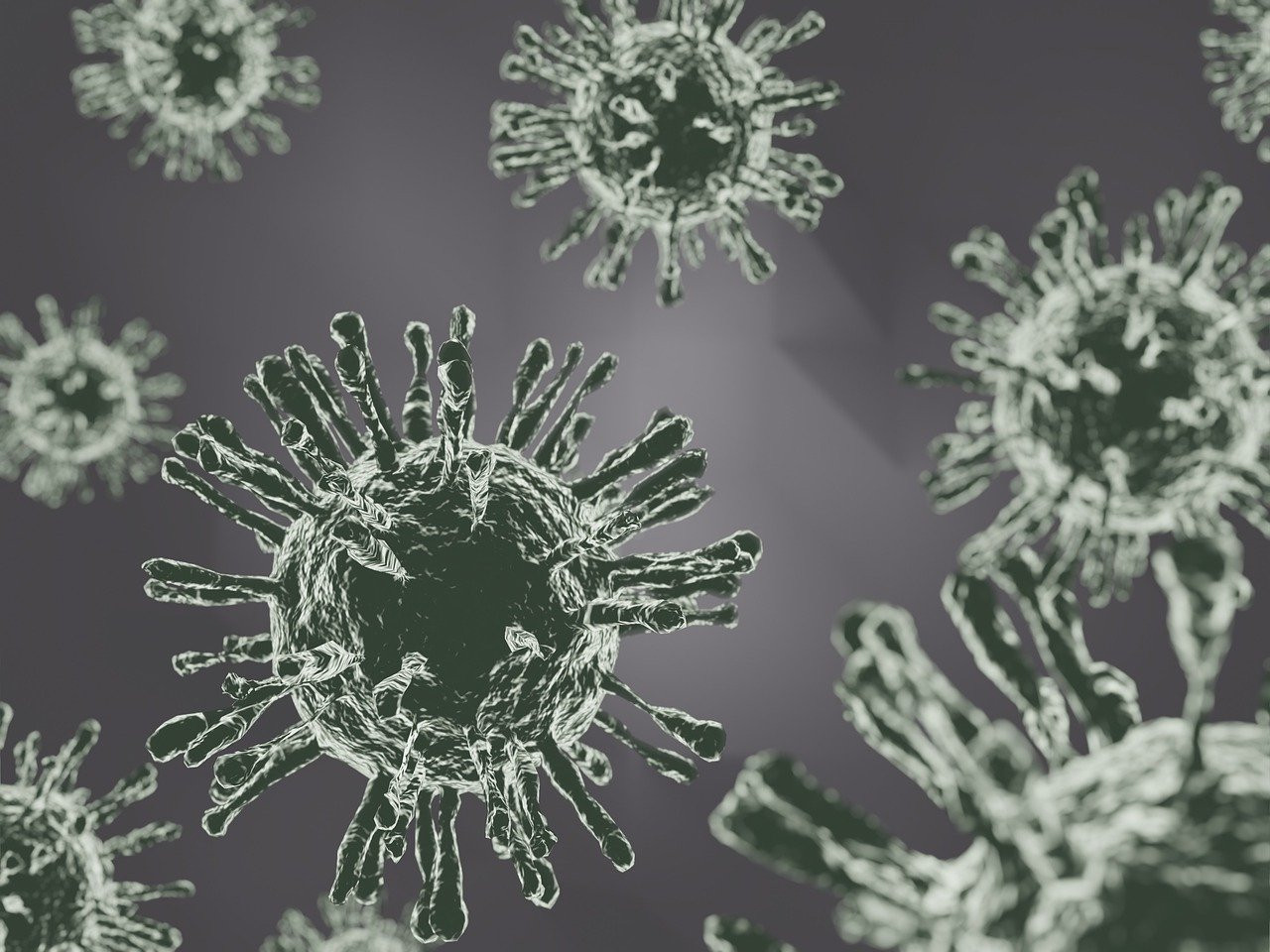 Virus, neumonía. Foto: Pixabay.