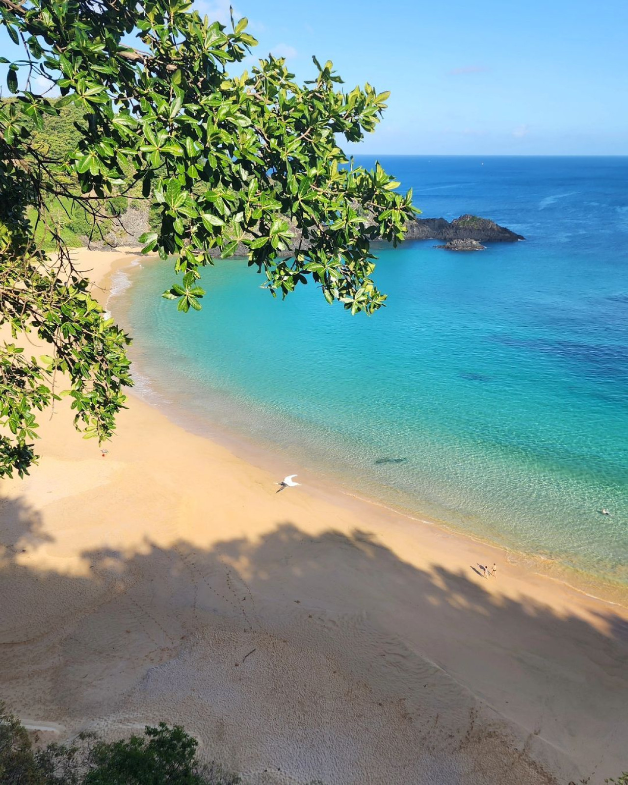 Fernando de Noronha. Foto Instagram @fernandodenoronha