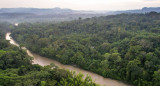 Conservación del ambiente en Ecuador. Fuente: The Nature Ecuador