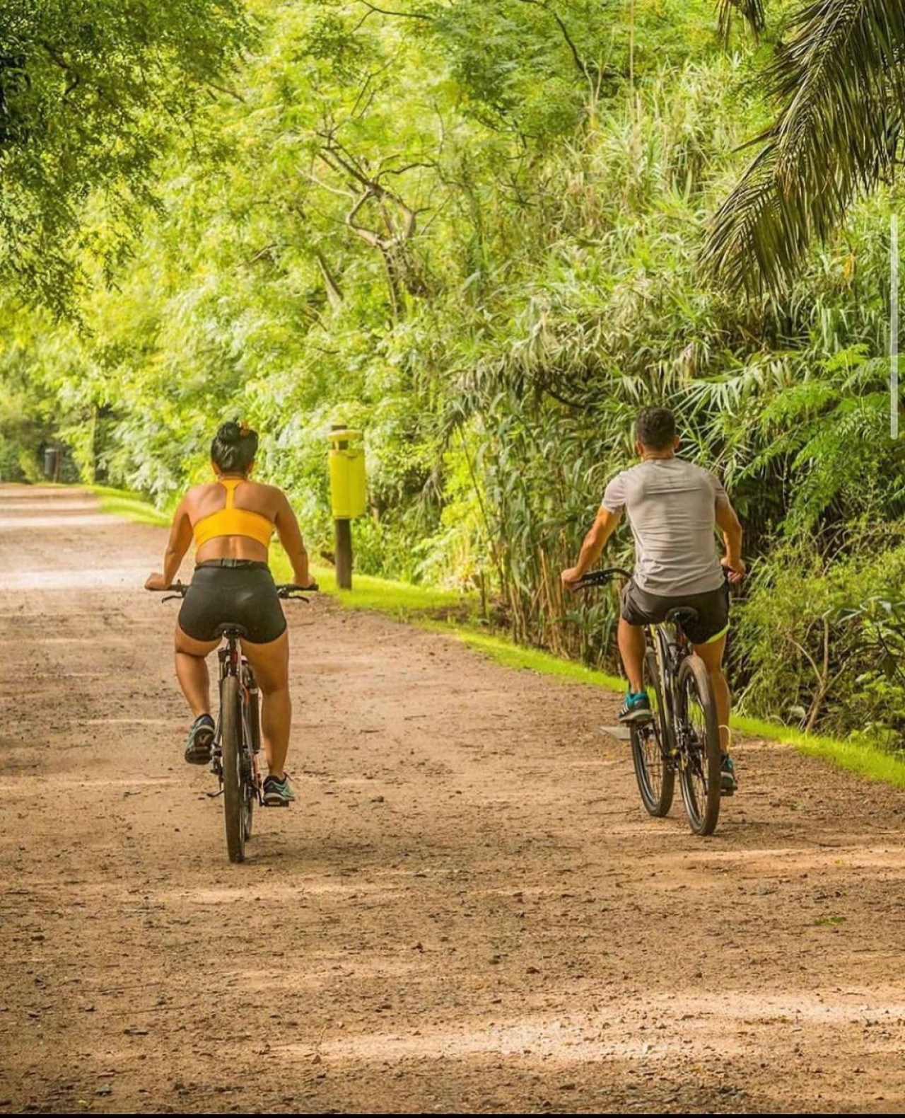 Reserva Ecológica Costanera Sur. Foto Instagram @reservaecologicasur