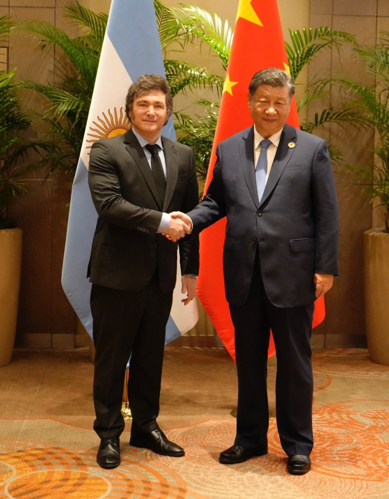 Javier Milei y Xi Jinping. Foto: Instagram JMilei.