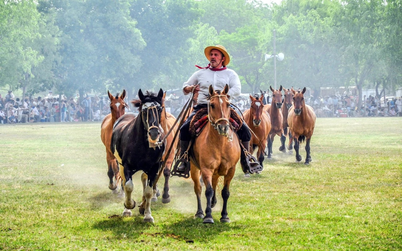 Demostración de doma en San Antonio de Areco. Foto: Gentileza Turismo San Antonio de Areco.