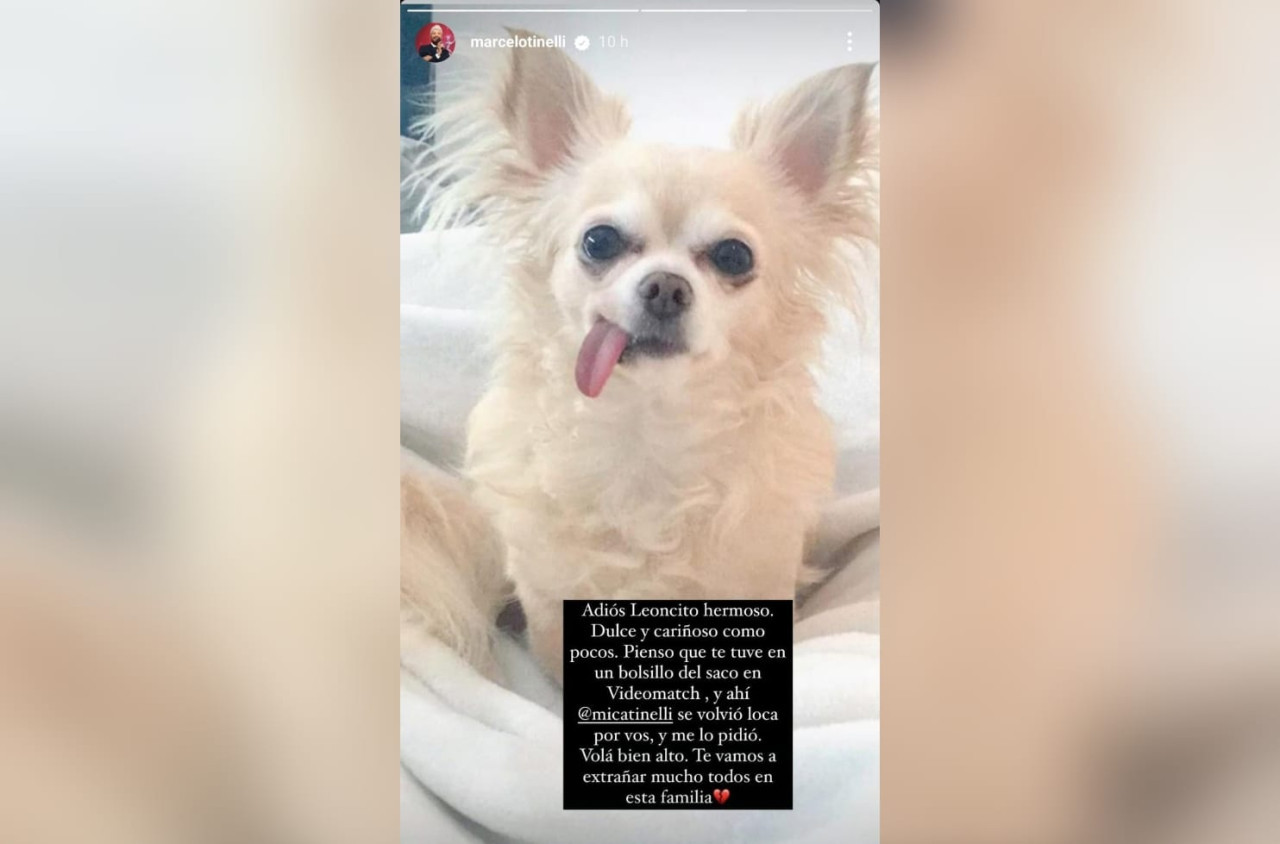 Marcelo Tinelli compartió una foto de León, el perro de su hija. Foto: Instagram.