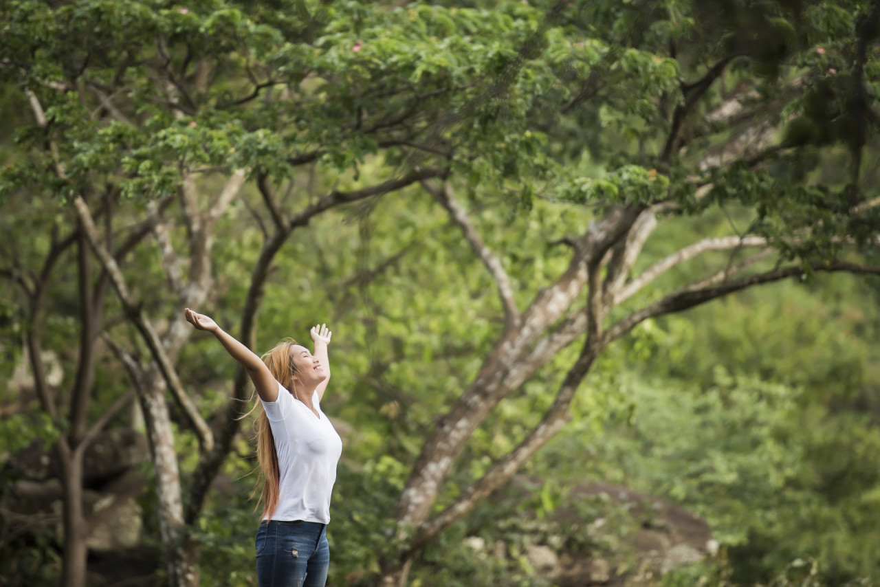 Jardinería, naturaleza. Foto Freepik