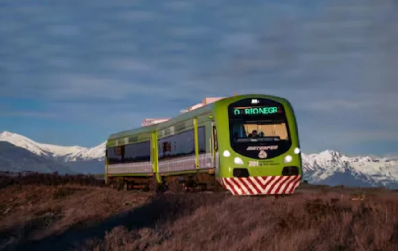 El Tren Patagónico. Foto: NA.