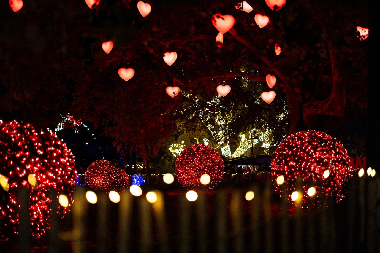 Navidad. Foto: Reuters