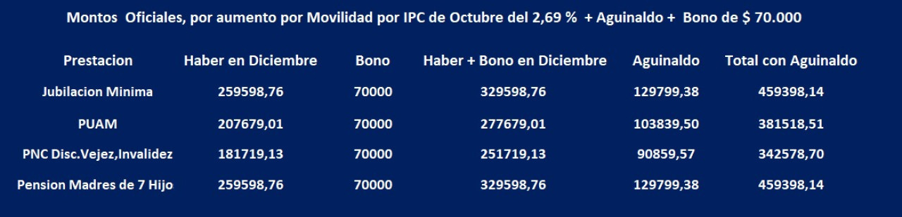 Montos de asignaciones de Anses para diciembre 2024.