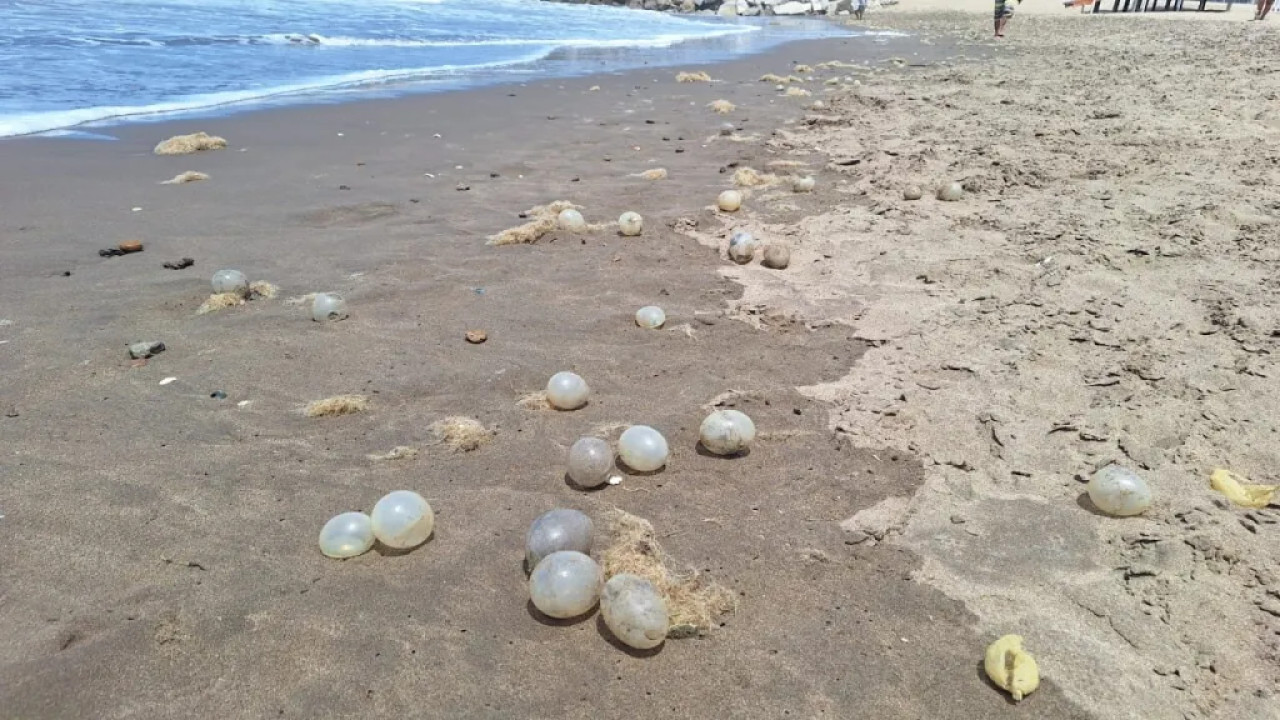 El fenómeno de Mar del Plata que modificó las playas. Foto gentileza Ahora Mar del Plata