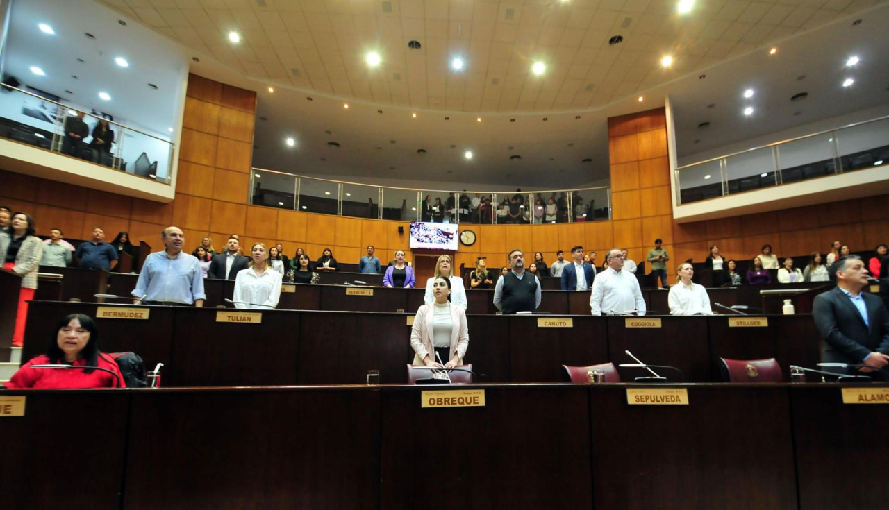 Legislatura de Neuquén. Foto: x @LegislaturaNqn.