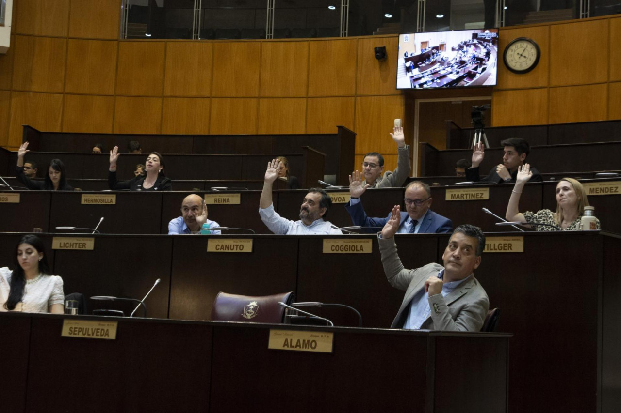 Legislatura de Neuquén. Foto: x @LegislaturaNqn.