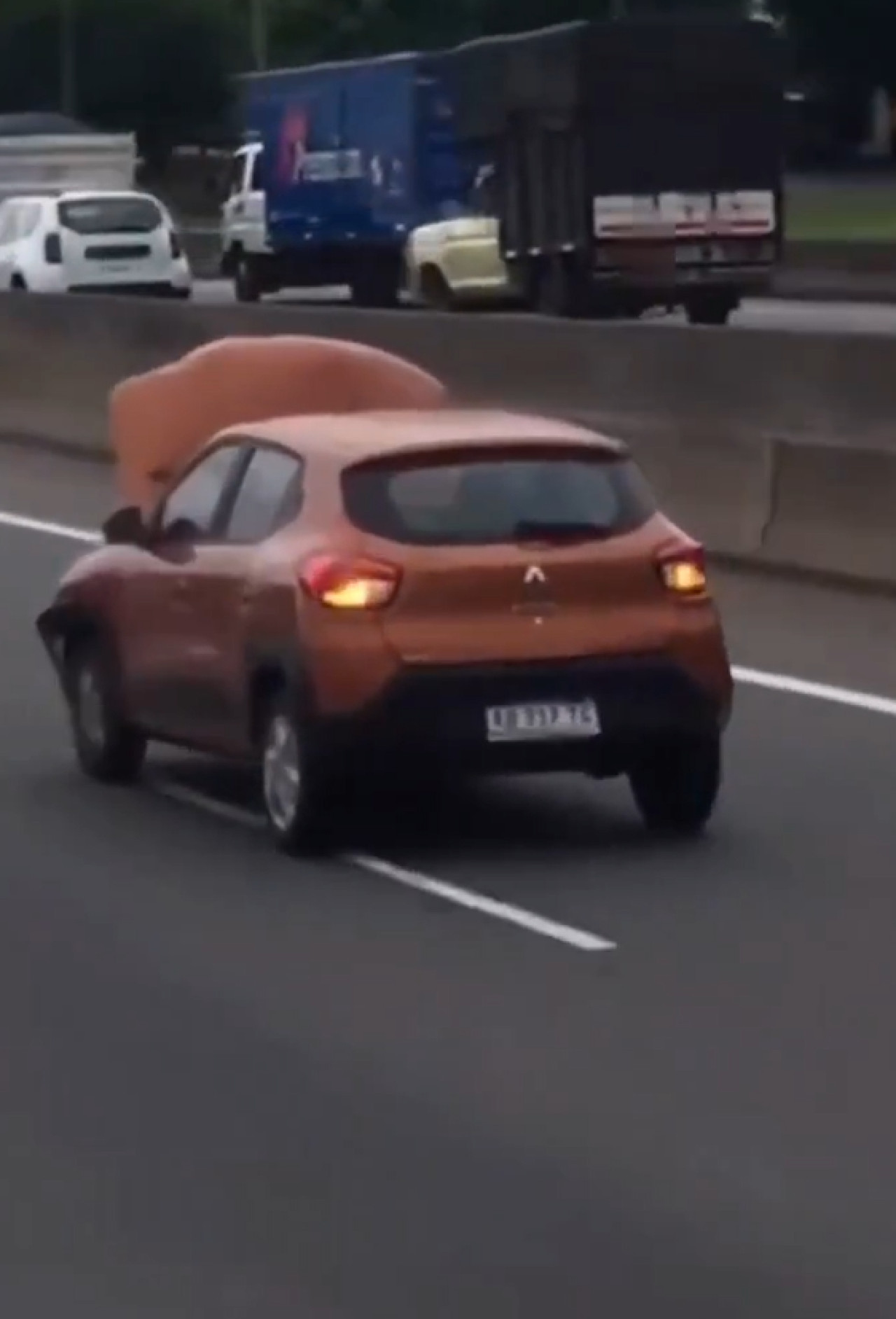 Manejo con el capot levantado por Panamericana. Foto: captura video redes sociales.