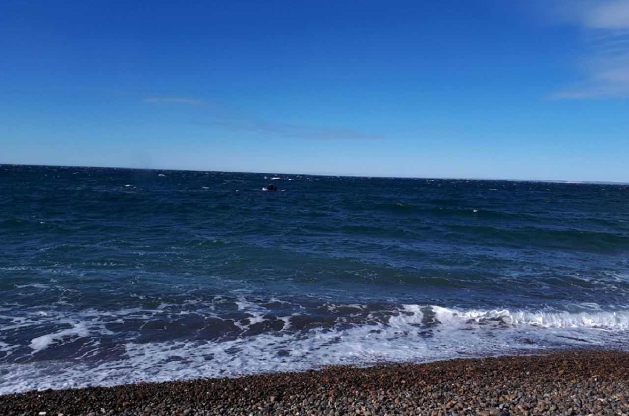 Playa Las Canteras, Chubut. Foto: Google Maps.