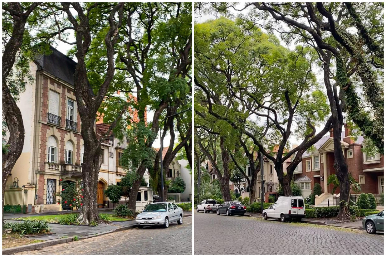 Las mansiones de la avenida Melián. Foto: Instagram @vivamosba.