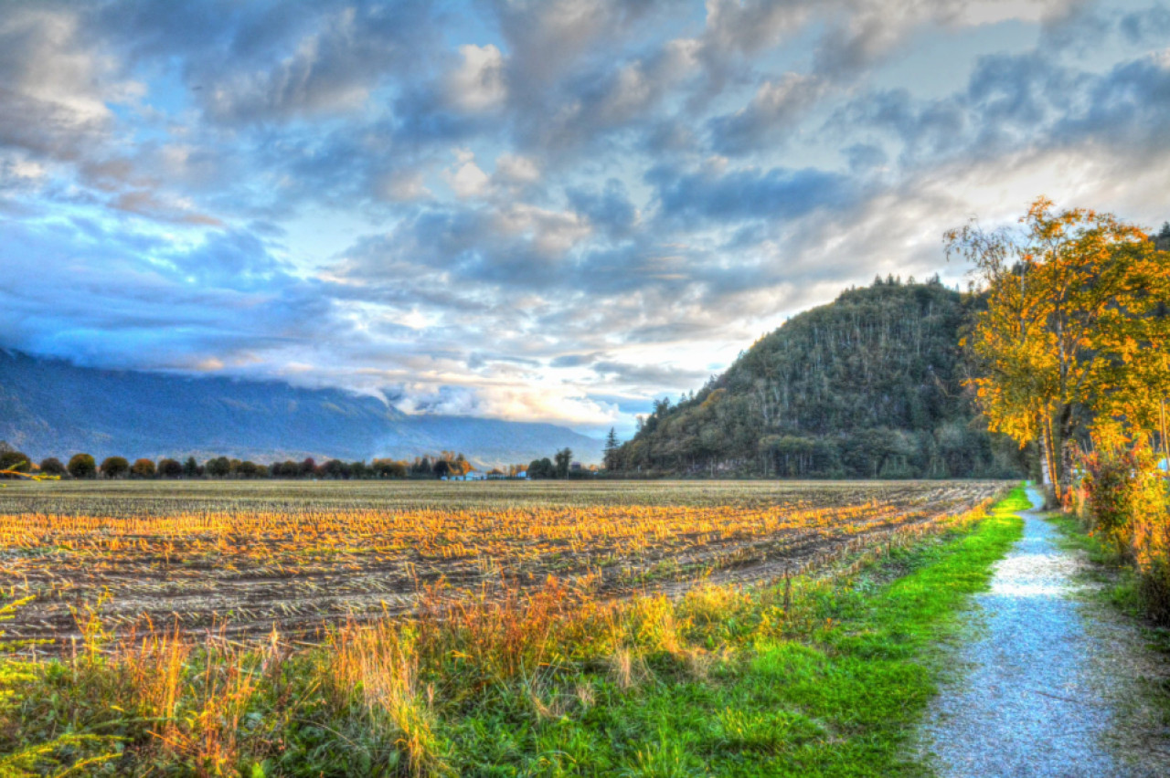 Agassiz en Columbia Británica, Canadá. Foto: Travel Report.