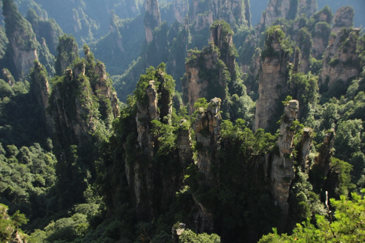 Parque Forestal Nacional de Zhangjiajie, en China. Foto: Freepik.