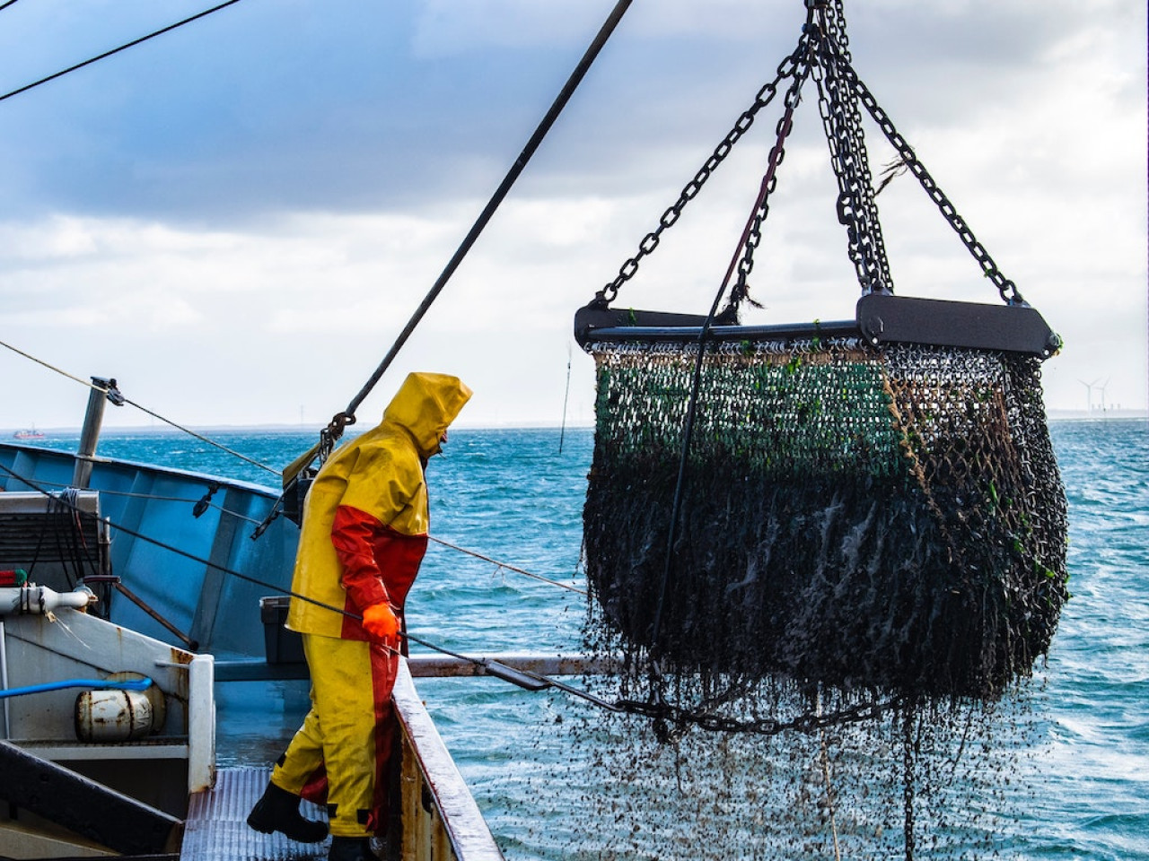 Pesca argentina. Fuente: Noticias Ambientales