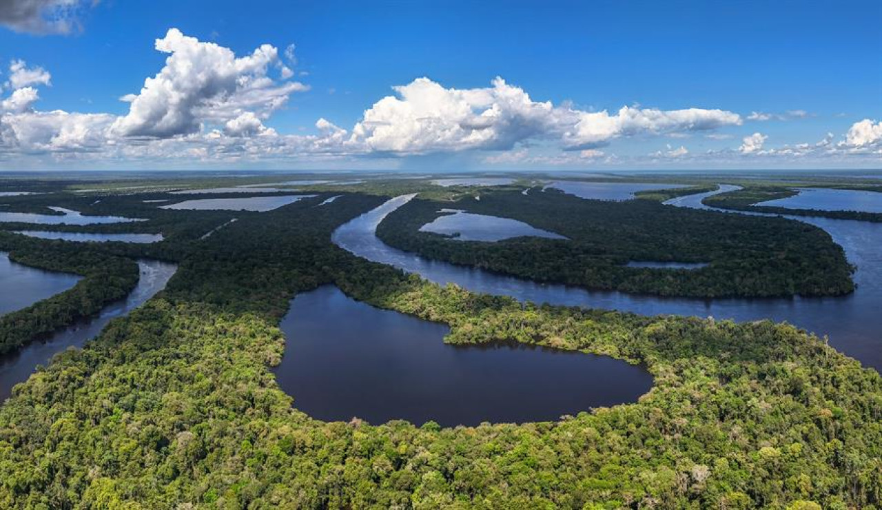 Amazonia. Fuente:EFE