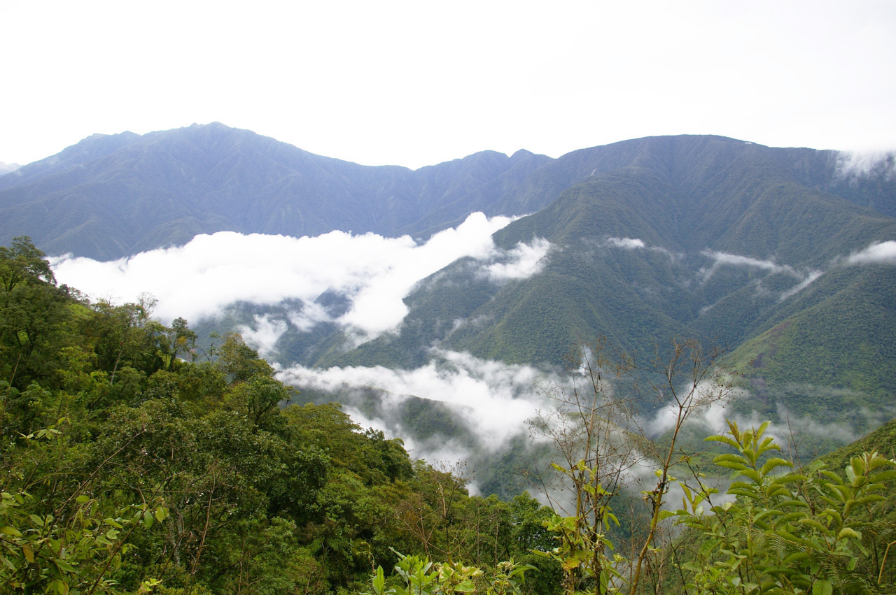 El Camino de los Yungas, más conocido como la ruta de la muerte. Foto: Wikipedia.