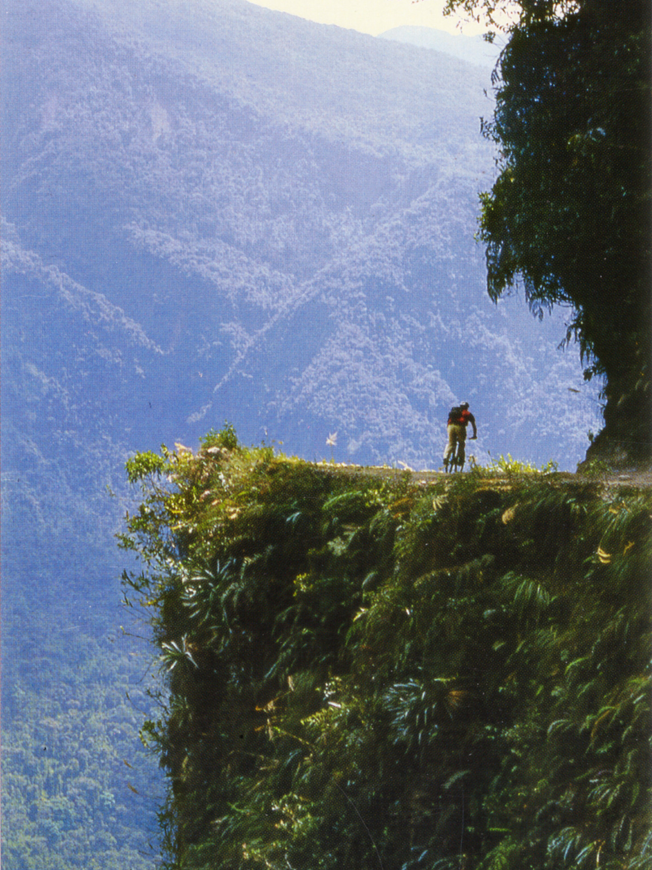 El Camino de los Yungas, más conocido como la ruta de la muerte. Foto: Wikipedia.