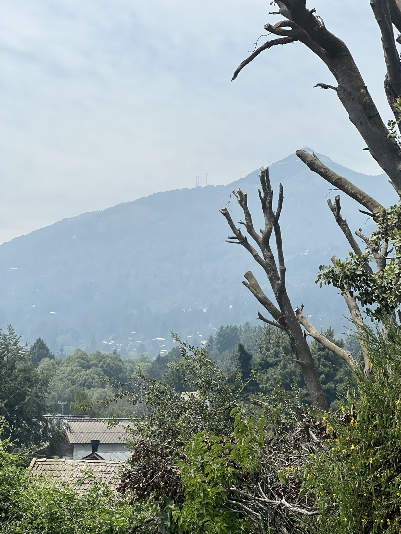 Bariloche amaneció cubierta de humo. Foto X @CatClaudio