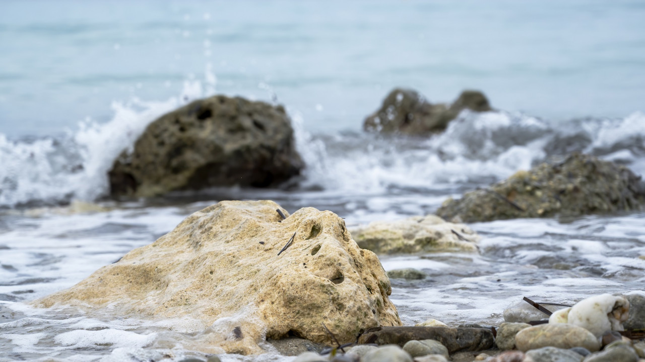 Contaminación del agua. Foto Freepik