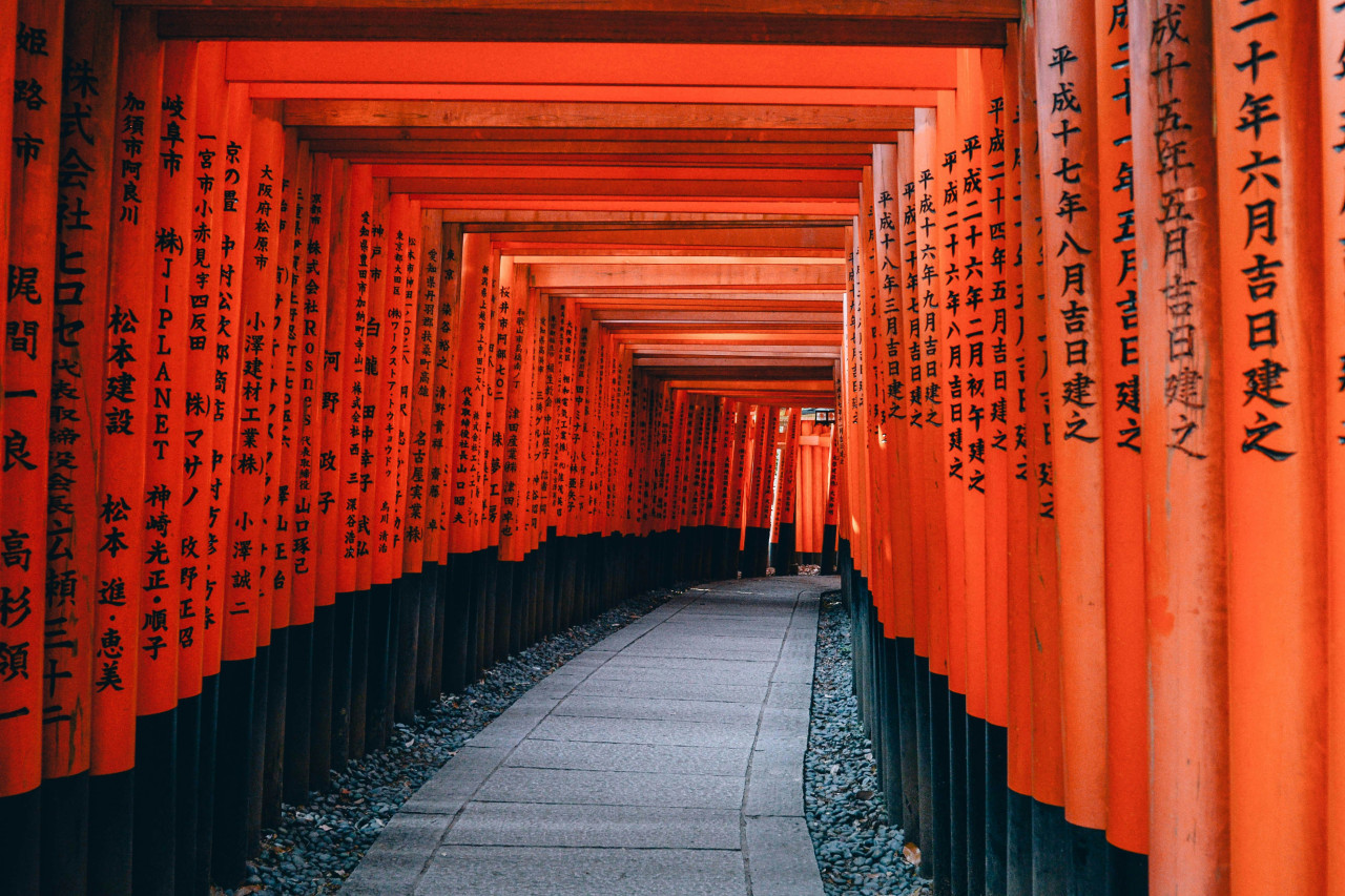 Estudiar en Japón. Foto, Unsplash.