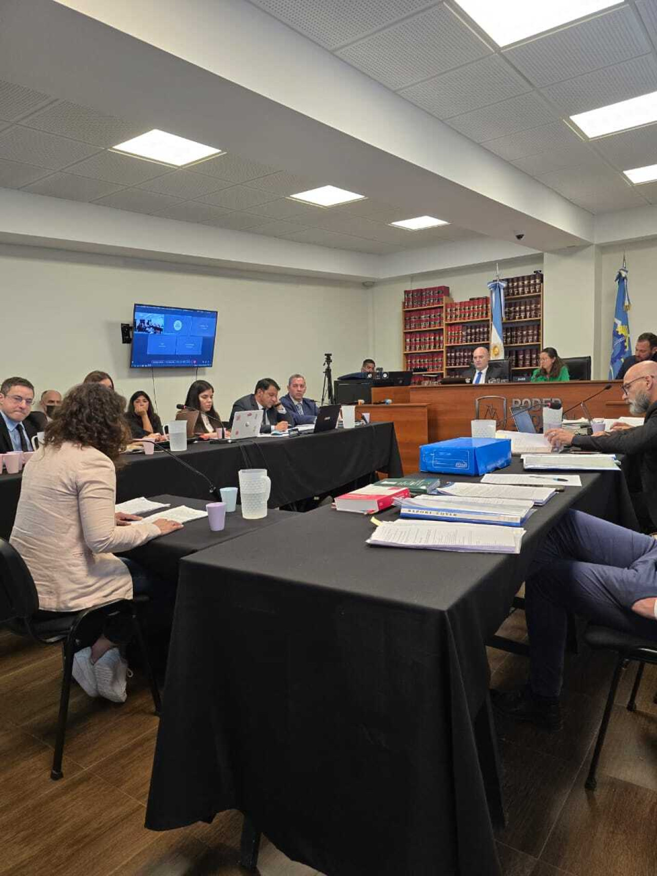 Declaración de Cecilia Torres Otarola durante el juicio. Foto: x MpfRawson.