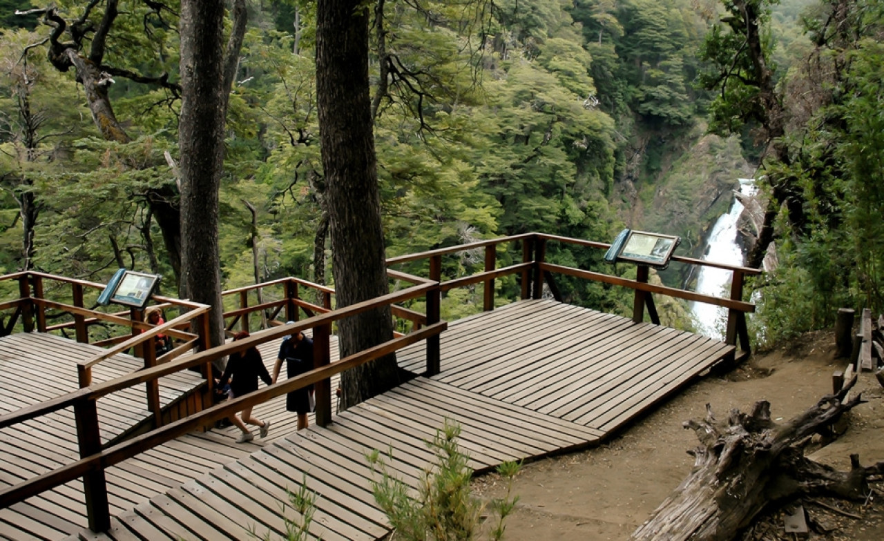 Sendero Parque Nacional Lanín. Foto: San Martín de los Andes.