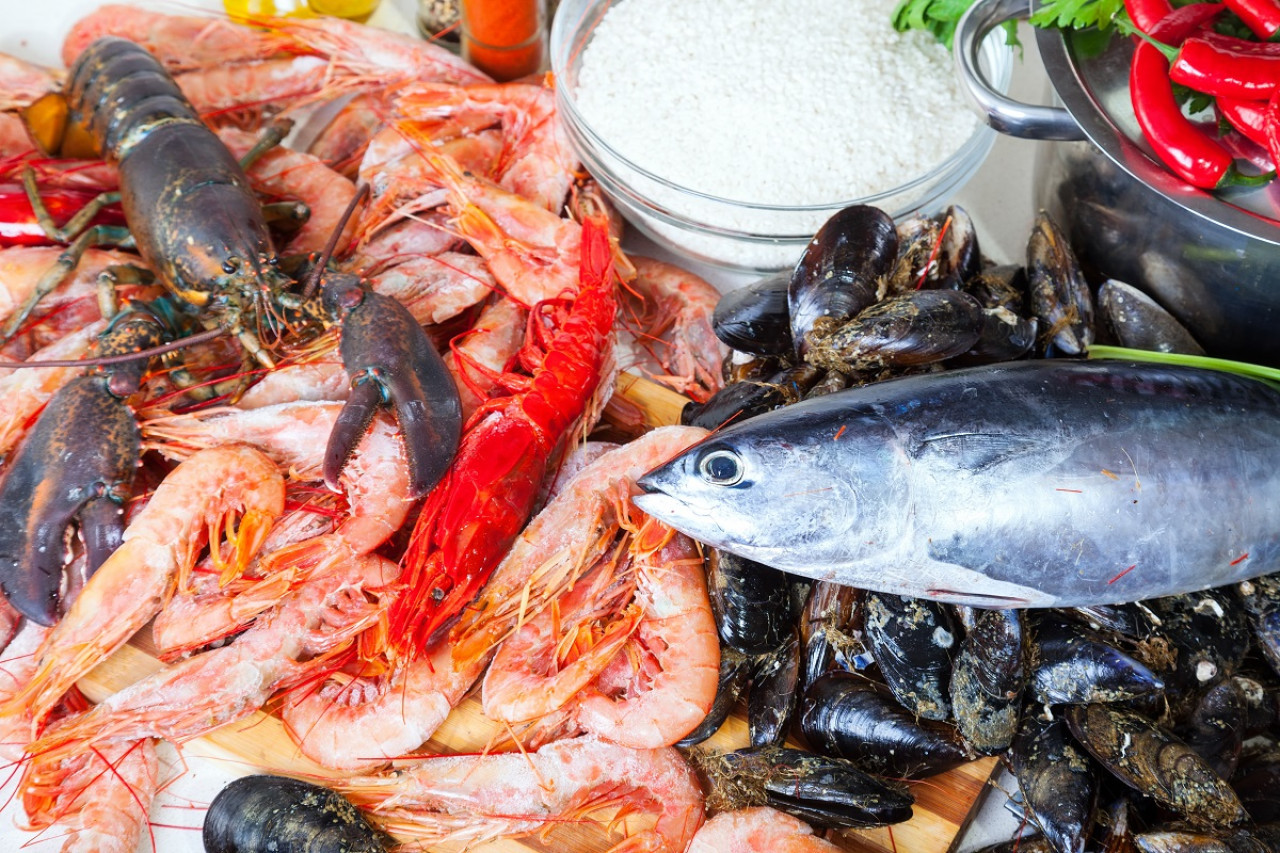 Mariscos y pescados. Foto: Freepik.